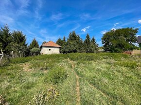 Dom s rozľahlým pozemkom na predaj, Čifáre - 4