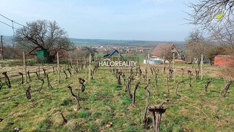 HALO reality - Predaj, rekreačný pozemok Žemberovce, , s vin - 4