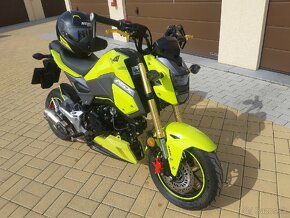 Honda MSX 125 - 4