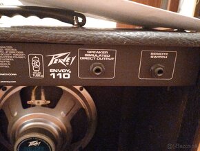 Peavey envoy 110 - 4