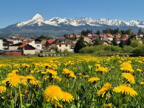 Drevenica s výhľadom na Tatry - 4