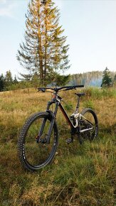 Mondraker Superfoxy Carbon R - 4