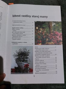 Izbové rastliny - 4