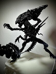 Xenomorph - 4