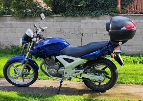 Honda CBF 250 - 4