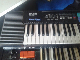 Organ glaciola+ Casio - 4