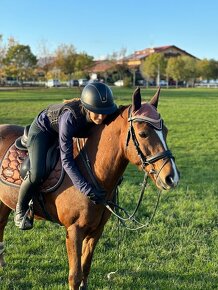 Pony do sportu - 4