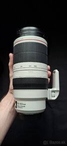 Canon EF 100-400mm f/4,5-5,6 L II  + UV HOYA + Lens Oak - 4