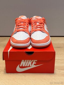 Nike Dunk low / mango 44 - 4