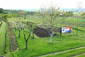 Predaj pozemku na výstavbu vinohradníckeho domu - 4