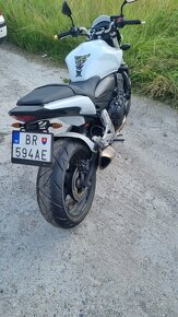 Honda hornet 600 - 4