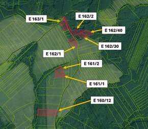 Pušovce – 16.000 m2 ORNÁ PÔDA a LES pri Prešove - Na predaj - 4