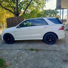 Mercedes Benz ML 250 BLUETEC 4MATIC AMG OPTIC - 4