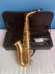 Alt Saxofón Stewart Ellis - 4