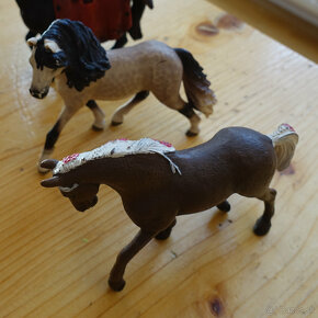 kone Schleich - 4