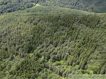 Na predaj les - lesný pozemok 6,75 ha - Osadné - 4