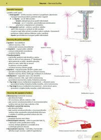 MEMORIX HISTOLOGIE (3. vydanie, PDF) - 4