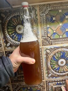 Kombucha nápoj - 4