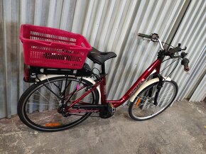 ebike Kennzel - 4