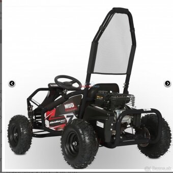 Buggy 98ccm - 4