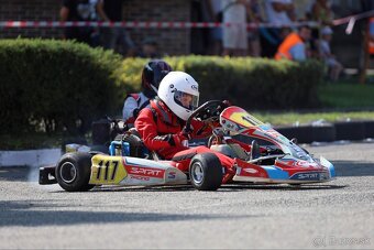 motokára Birel Easykart 100 ccm (24 koní 15000 ot./min) - 4