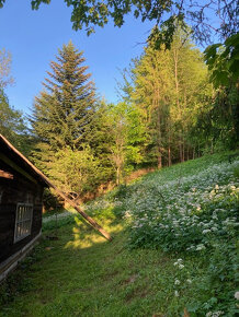 Predám romantickú chalupu - drevenica Terchová - Šípková - 4