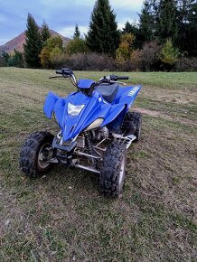 Yamaha Raptor 350 - 4