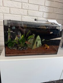 40L komplet zariadené akvarium - 4