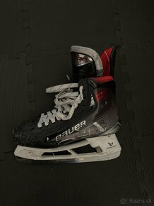 Kurčule Bauer Vapor x5 pro - 4