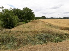 Čistenie, kosenie pozemkov, štiepkovanie drevín - 4