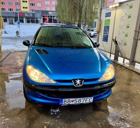 Peugeot 206 1,4 55kw 2006 - 4