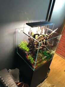 Dizajnové aquascapingové akvárium 125l - 4