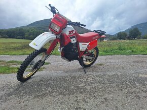 Yamaha XT 600 43F - 4