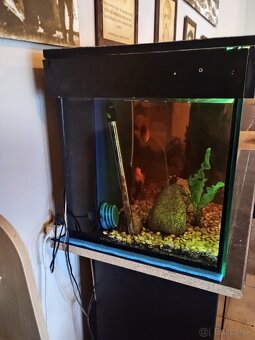 Akvarium 400l - 4