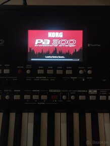 Korg Pa 300 set - 4