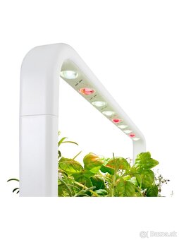 Click & Grow smart garden 9 - 4