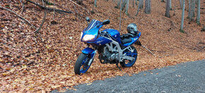 Suzuki sv650s - 4