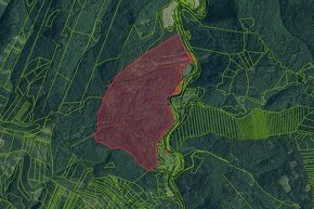 Blažov  – 3.145 m2 LESY a ORNÁ PÔDA – PREDAJ - 4