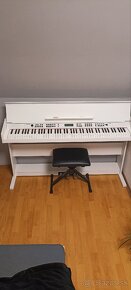 Piano - klavír Alesis Virtue AHP-1 - 4