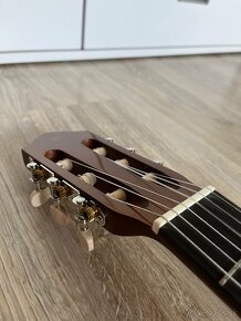 Gitara - 4