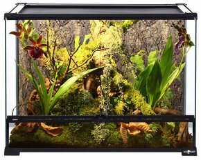 Terarium - 4