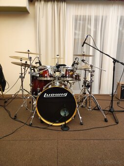 Ludwig accent cs costume 22" - 4