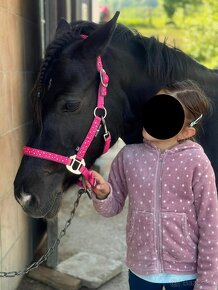 ❤ Pony kobylka 127 cm ❤ top povahy - 4