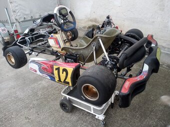 Motokara Rotax Max 125 MsKart - 4