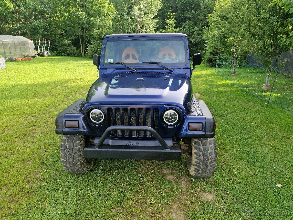 Jeep Wrangler TJ 2,5 Hardtop