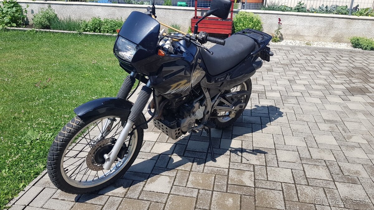 Honda dominator