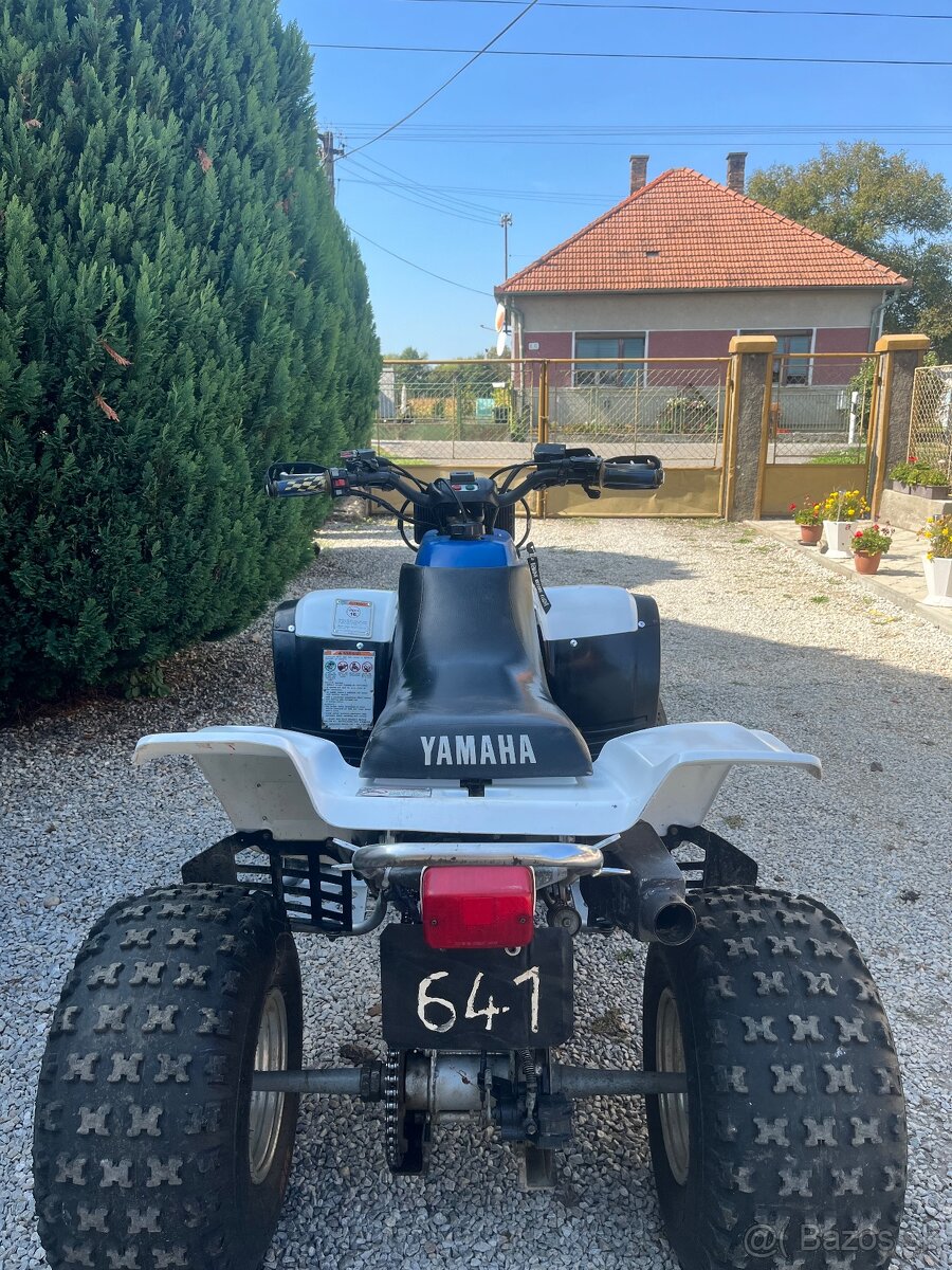 Yamaha warrior 350