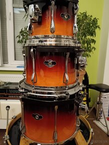 predam Tama Superstar Maple - 5