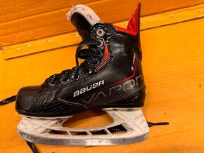 BRUSLE BAUER VAPOR 3X vel. 12,5 D - 5