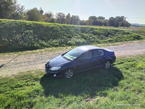 Peugeot 407 - 5